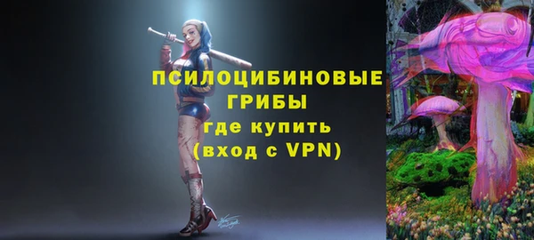 прущие грибы Володарск