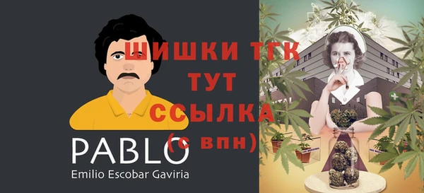 прущие грибы Володарск