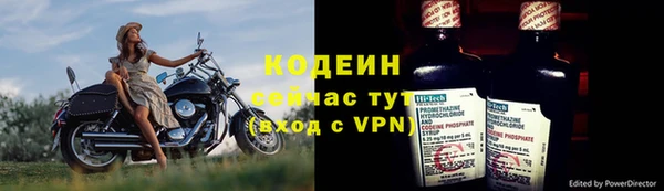 прущие грибы Володарск