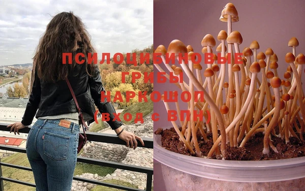 ECSTASY Волосово