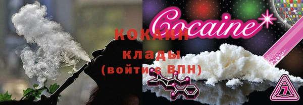 прущие грибы Володарск