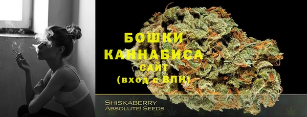 прущие грибы Володарск