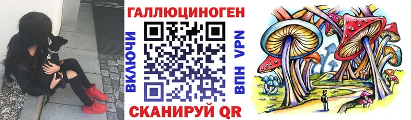 Галлюциногенные грибы Psilocybine cubensis  Купить закладки  Губкин 
